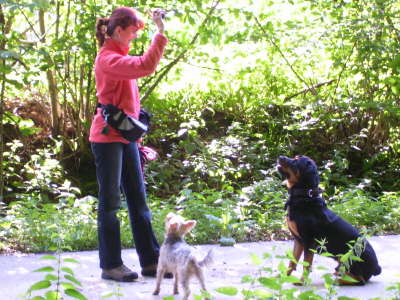 Erst "Sitz" - dann gibt's den Ball