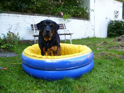 Planschbecken die 2.