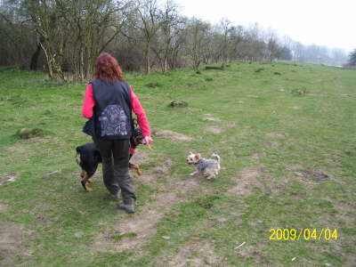 �ben auf der Hundewiese