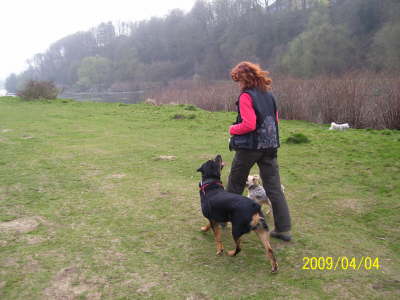 �ben auf der Hundewiese