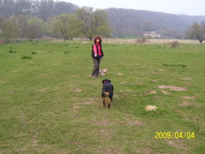 �ben auf der Hundewiese