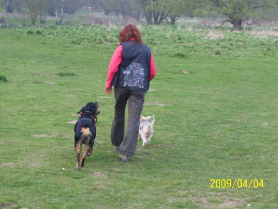 �ben auf der Hundewiese