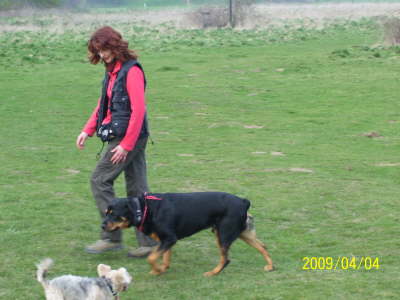 �ben auf der Hundewiese