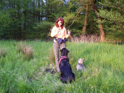 "Schau" und "Sitz" mit 2 Hunden