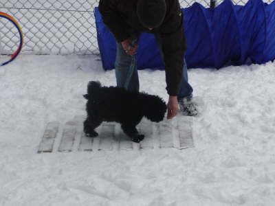 Zorro balanciert bed�chtig