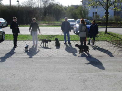 Endlich Fr�hling und Umwelt�bungen am Leinpfad