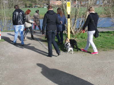 Wo sind denn die Radfahrer?