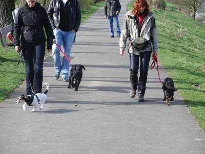 auch gehen in der Gruppe muss ge�bt werden