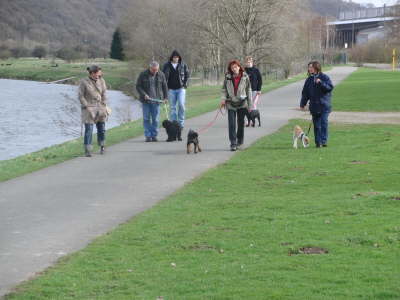 Bl�der Trainer, der hat Trockenfisch ausgeworfen und wir d�rfen nicht fressen!!