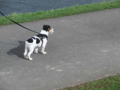 Wer kommt denn da entgegen??