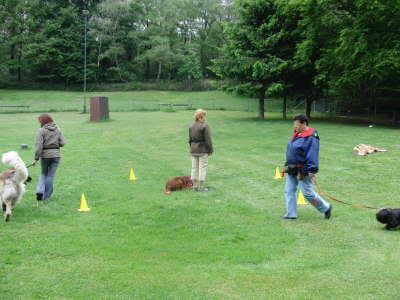Coleena - Platz bei Ablenkung
