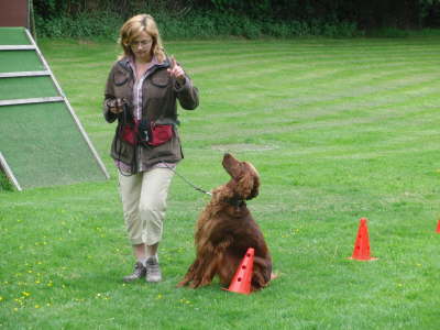 Coleena Sitz aus Bewegung