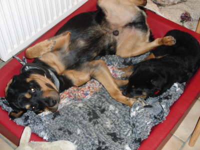 M�ppi_mit-Wima_13-Wochen