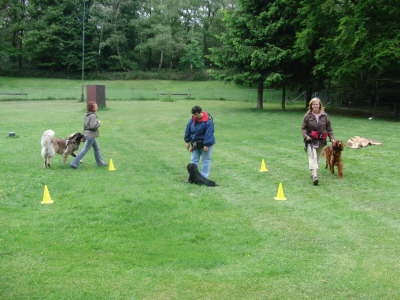Tapsy - Platz bei Ablenkung