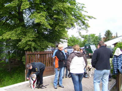 Verkn�pfung Geschirr