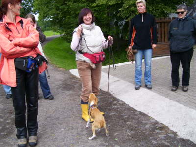 auch Minis k�nnen das